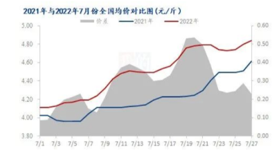 多重利好支撐，蛋市“蒸蒸日上”？-上海邦森