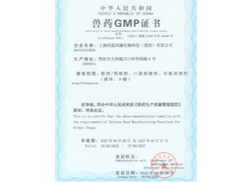 GMP證書