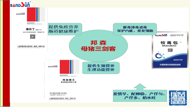 母豬三劍客