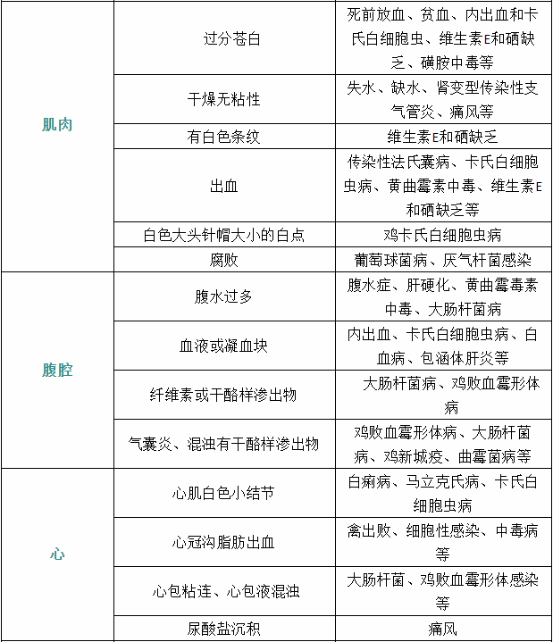 家禽疾病癥狀5