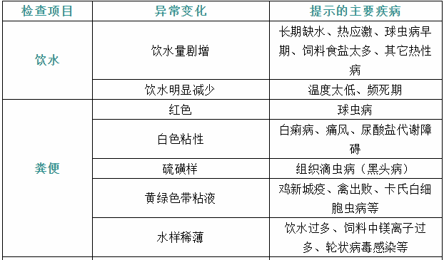 家禽疾病癥狀1